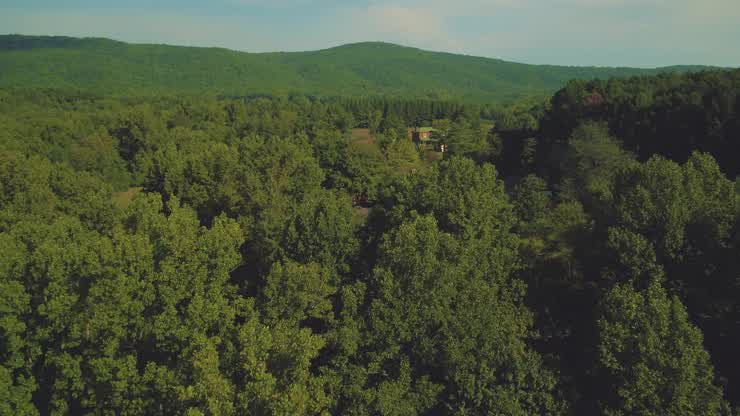 The Reynolds Homestead Forest Resource Research Center examines all aspects of forest health