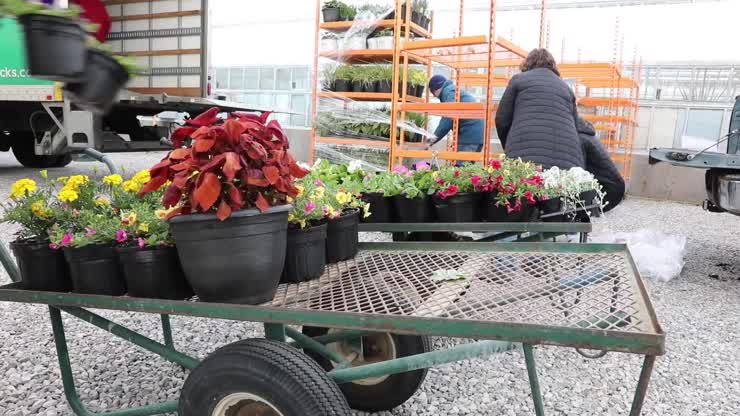 Horticulture Club and Hahn Horticulture Garden Spring Plant Sale
