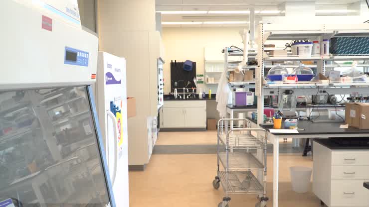 Food science student's apple-picking bag research aims to keep fresh produce safe from E. coli