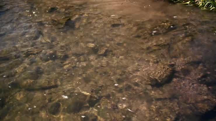 Virginia Tech's StREAM Lab is restoring Blacksburg's unknown creek.
