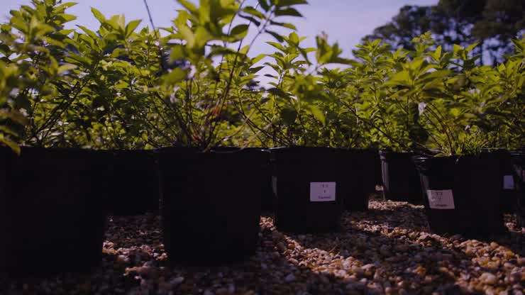 The Hampton Roads AREC helps the green and turf industries thrive
