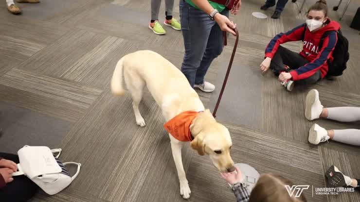 VT Therapy Dogs bring joy to students in Newman Library