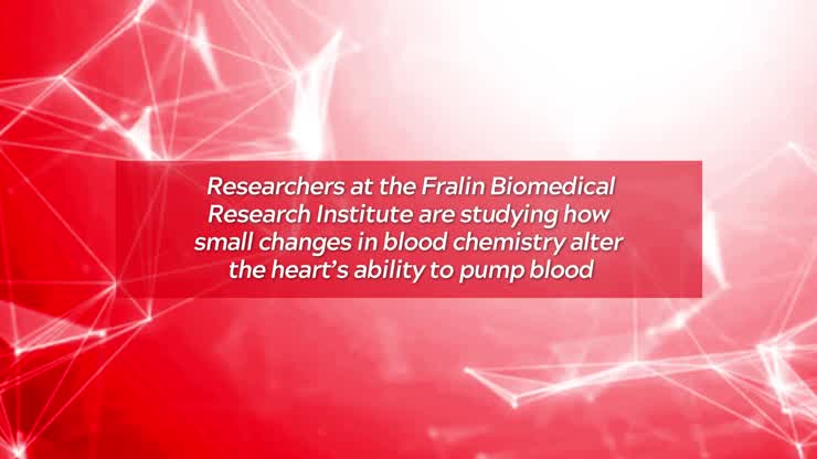 Fralin Biomedical Research Institute researchers discover link between blood chemistry and deadly heart arrhythmias