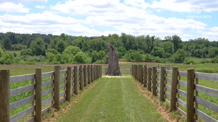Merry Oak's history continues to be preserved