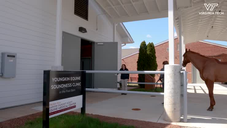 Unbridled excitement in Northern Virginia for new equine performance center