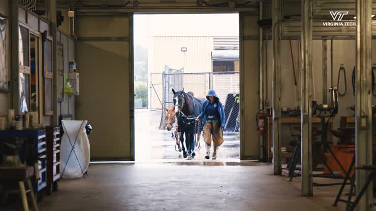 Hoof health is horse health: Newly certified farrier enhances veterinary hospital services