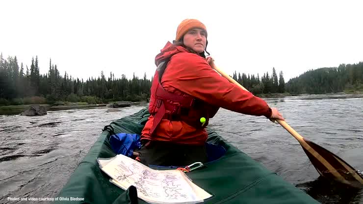 A truly wild summer adventure