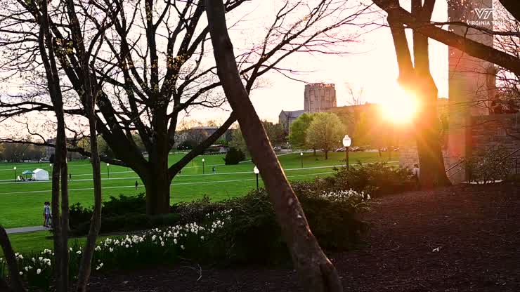 Springtime on the Drillfield