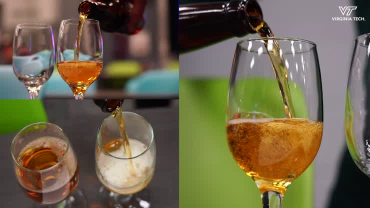 Learning the Foundations of Cider Making
