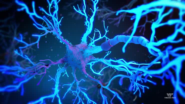 Unlocking Secrets of the Mind