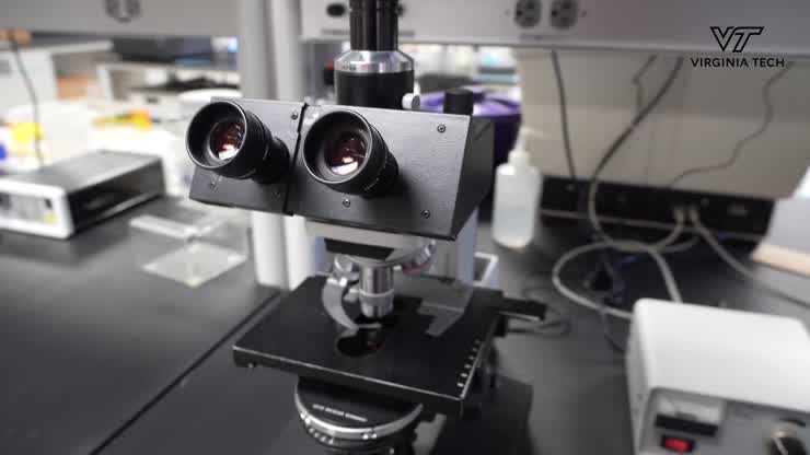 Studying diseases in humans and wildlife