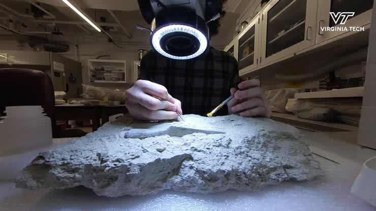 A tedious, time-consuming effort to unearth prehistoric life