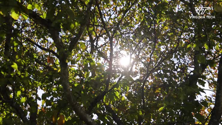 Cross-disciplinary research to create more sustainable practices for local farmers