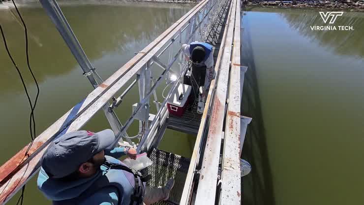 Forecasting water quality