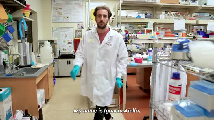 Postdoctoral Excellence Awards celebrate promising scientific research