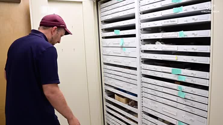 Preparing ancient fossils to become a modern digital exhibit
