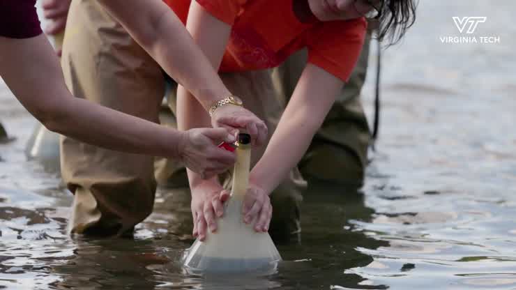 Students explore microbial physiology in the Duck Pond