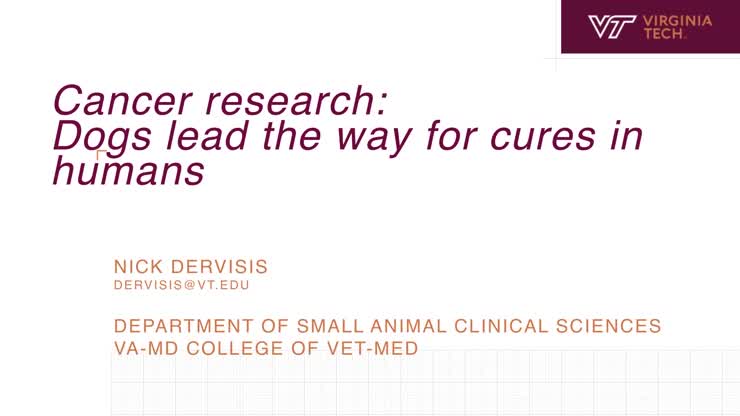 HokieTalks: Cancer Research- Dogs lead the way for cures in humans