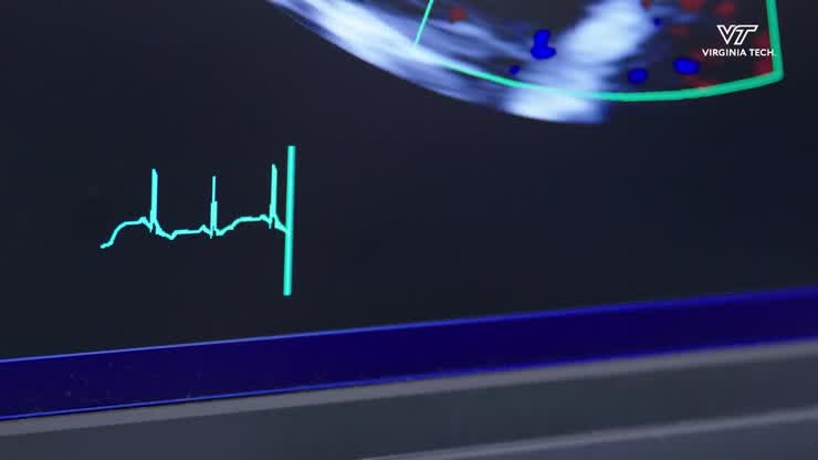 Cavalier King Charles Spaniels Healthy Heart Study
