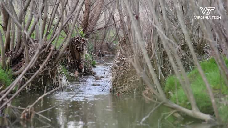 Students get their feet wet as biodiversity conservationists
