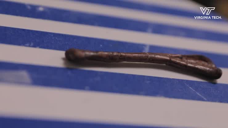 Preserving history through modern paleontology