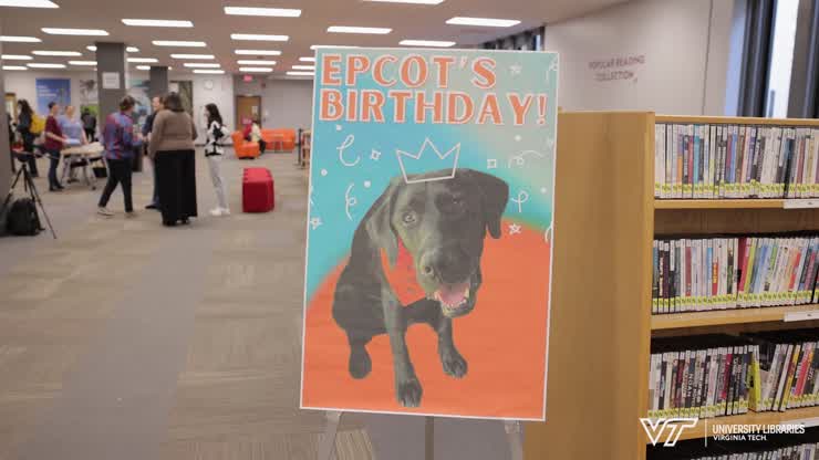 Let's pawty! Virginia Tech celebrates therapy dog's birthday
