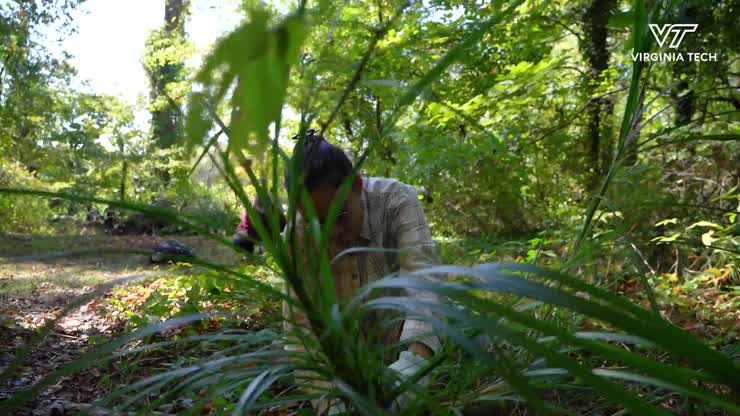 Invasive species removal is a team effort