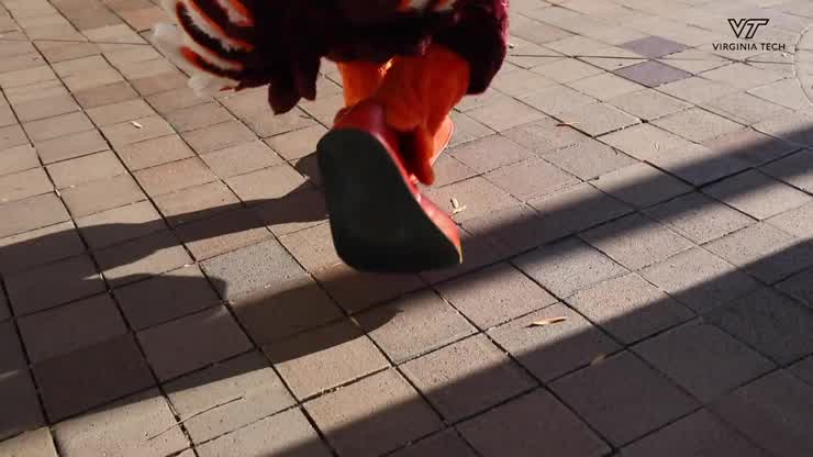 The Presidential Turkeys in Washington, D.C.