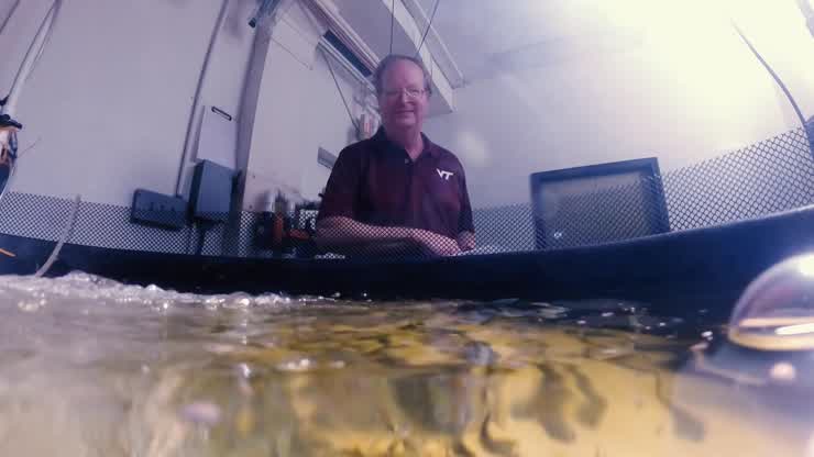 The Virginia Seafood AREC has a wide-ranging impact on the commonwealth’s fishing industries
