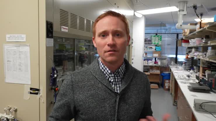 Bringing together rigid and soft electronics