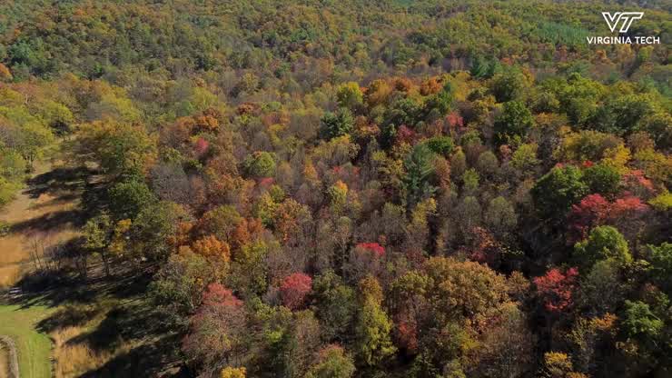 Conservation efforts on display during Fall Forestry and Wildlife Tour