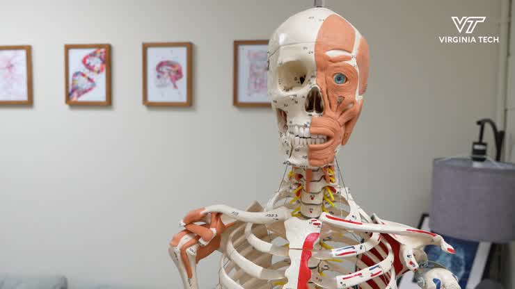 Researching how stroke affects sense of touch
