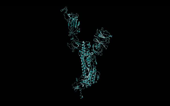 The virus that causes COVID-19 is widespread in wildlife, Virginia Tech scientists find