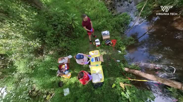 Restoring filter feeders in Potomac River tributaries