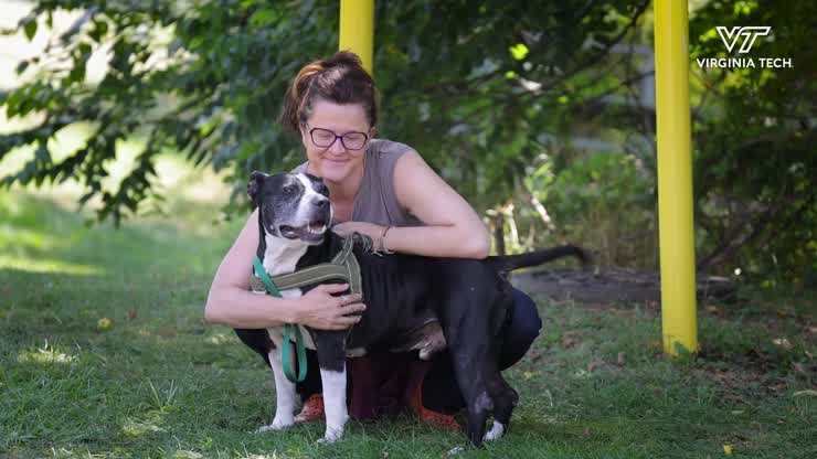 Making shelter dogs more adoptable