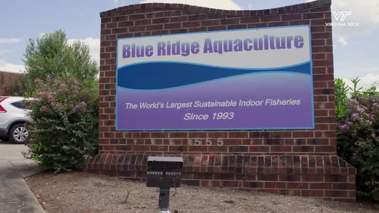 Inside the largest indoor tilapia facility in the USA: A vet student’s unique rotation experience