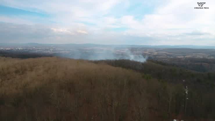 Fire and forest ecology