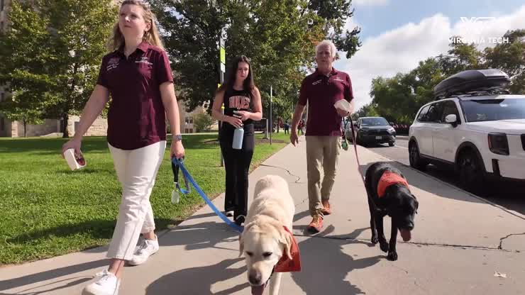 The lasting impact of VT Therapy dogs