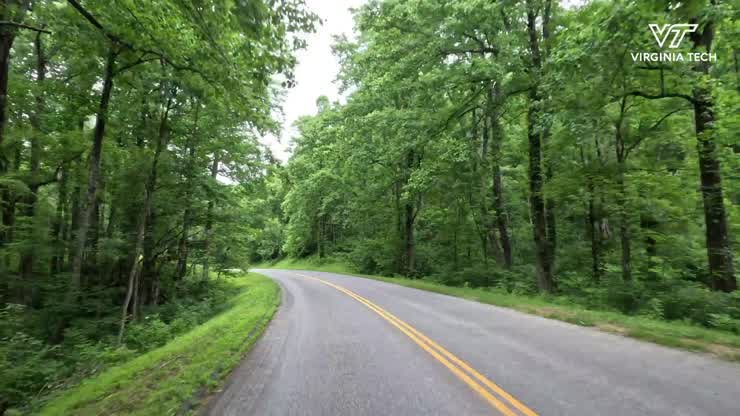 Tracking the biggest trees in Virginia