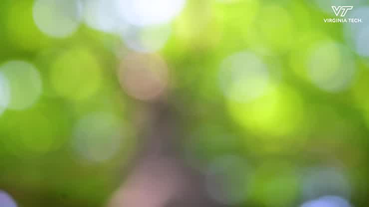 Researchers Develop Flexible, Recyclable, Self-Healing Metals