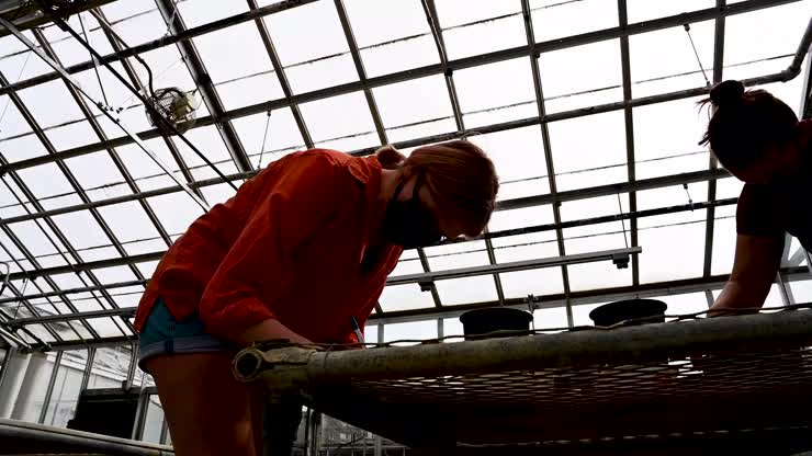 One Giant Leap For Plant-kind:  VT Soil Judging Team Grows Vegetables In Lunar Soil