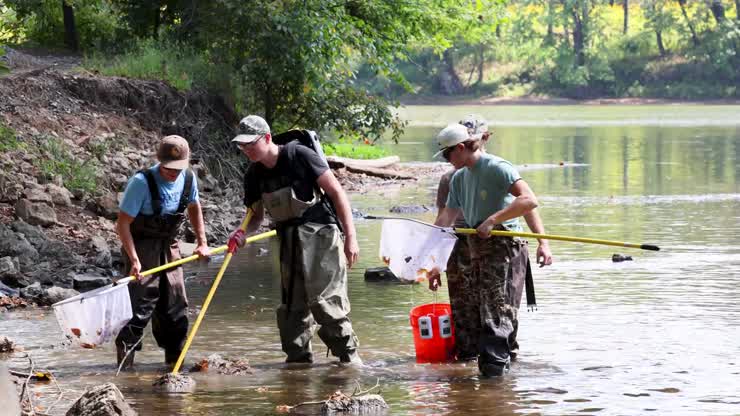 Virginia Tech students wade into Toms Creek to put lessons into practice