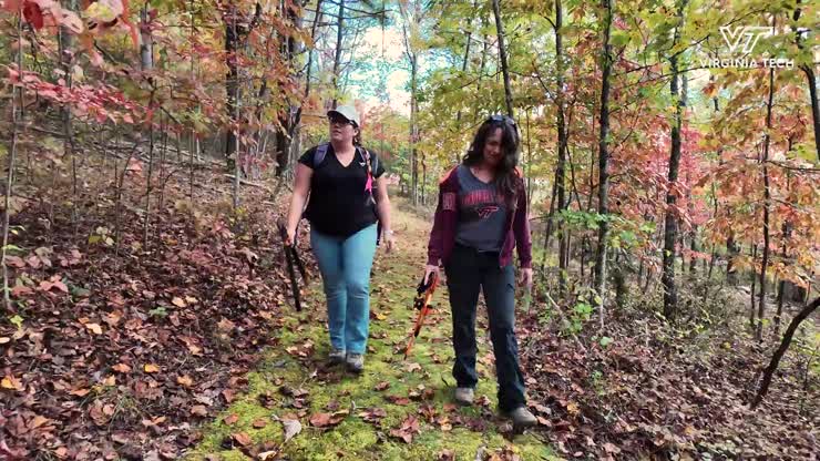 In search of the Virginia Gray Fox