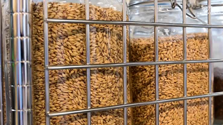Brewing Class Offers Hands On Experience While Adapting To COVID 19 Protocols