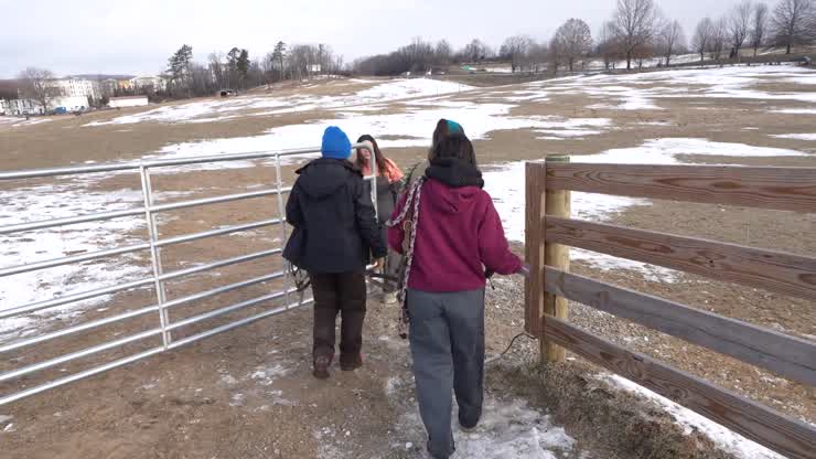 Early mornings at Virginia Tech's Equitation Barn
