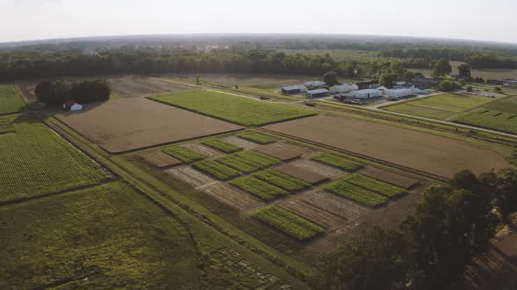 The Tidewater AREC focuses on row crops that help feed a growing global population