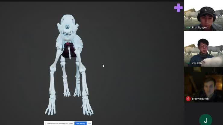 Project Develops 3D Technology For Veterinary Education
