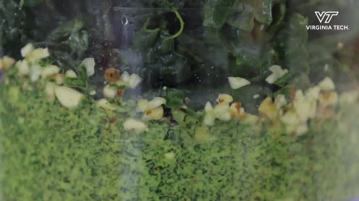 VT Engage hosts Reducing Food Waste workshop