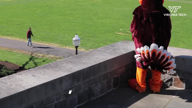 A message from the HokieBird