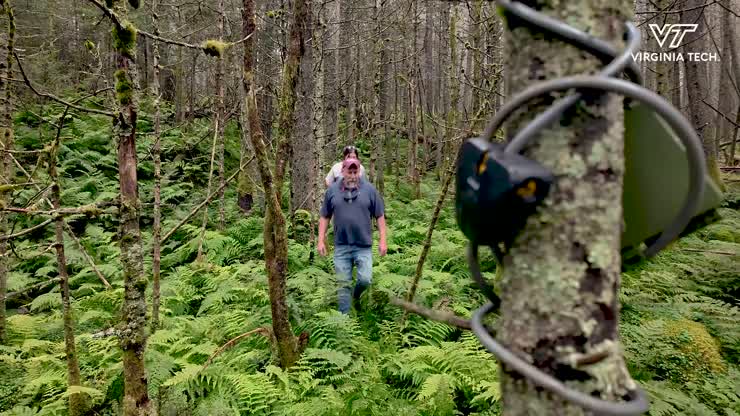 Preserving the ecosystem of flying squirrels in Appalachia